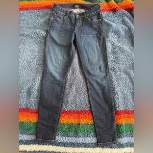 Fran Denim Sarah Skinny Jeans in Dark Wash